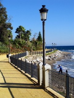 家から歩いてすぐの海岸。海と空の青が全く冬らしくなくて鮮やかです。
