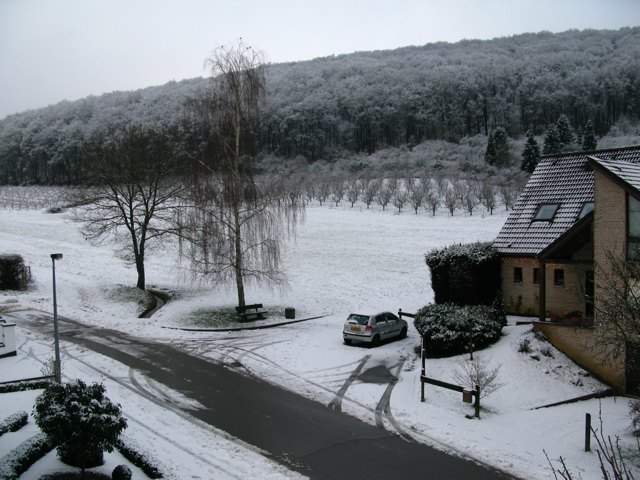 家から見る雪景色。