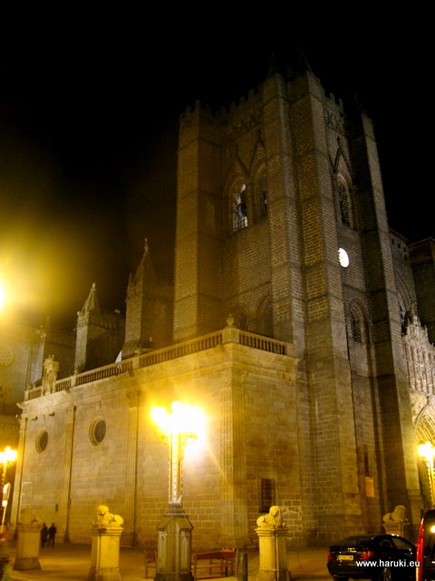 夜の大聖堂。ローマ様式とゴシック様式の混ざった、スペインでも一番古い大聖堂の一つだそうです。