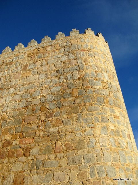 清々しい青い空とAvilaの城壁