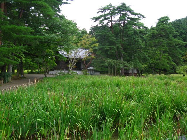 毛越寺の浄土庭園周辺。