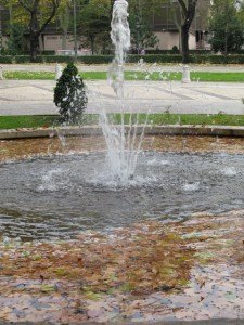プラド美術館近くの噴水。透明な水と落ち葉のコントラストが好きです。