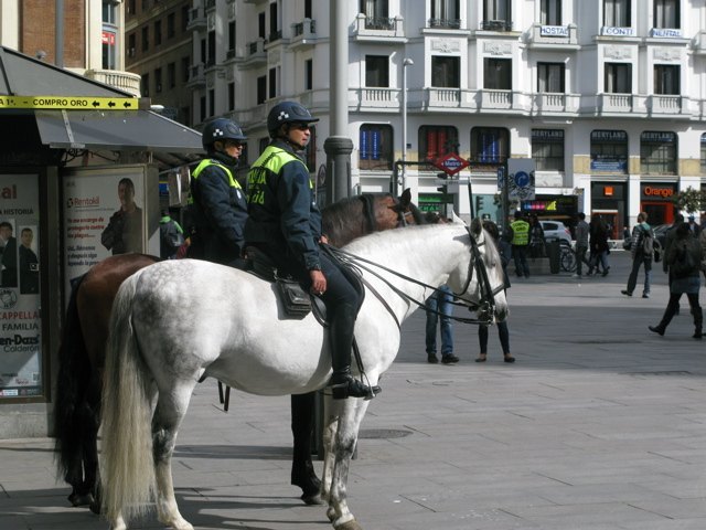 市の中心を警官がパトロールする際、たまに馬に乗っているのを目にします。