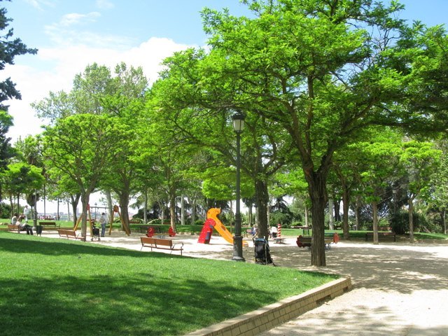 公園の緑が鮮やかになってきました。