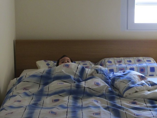 最近は、おばあちゃまがいないうちにベッドに上ってスタンバイ。