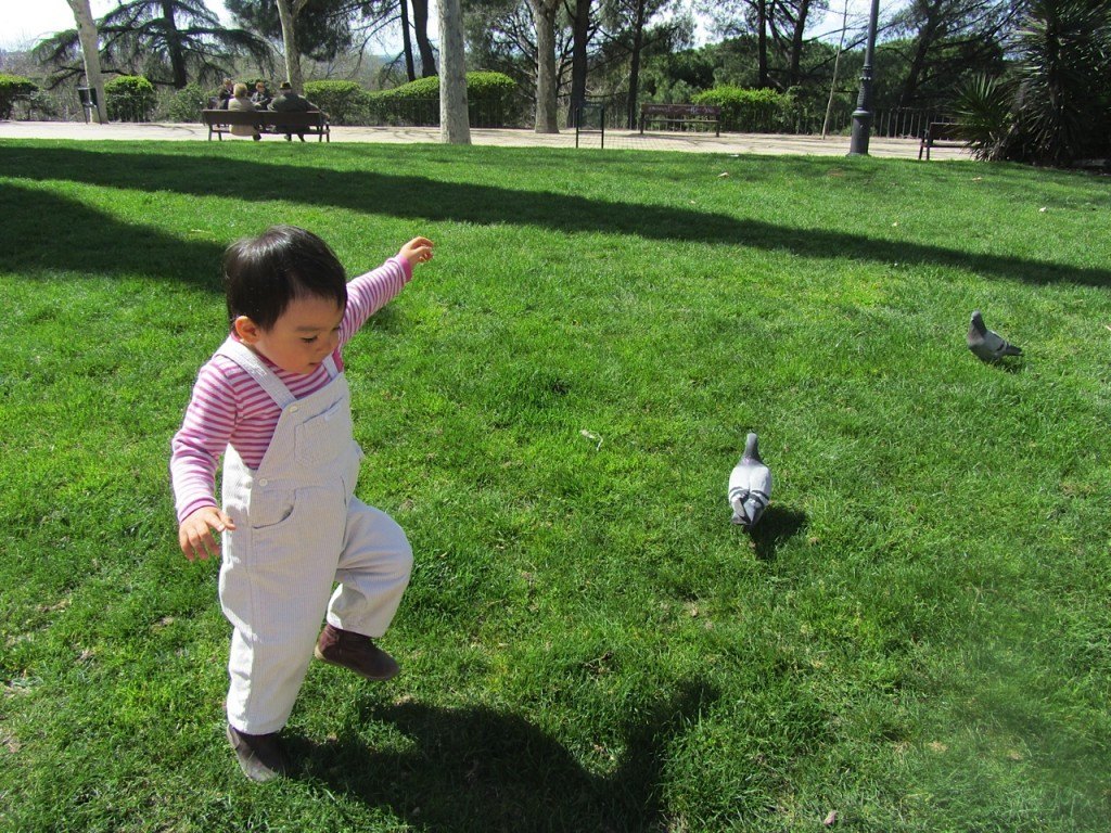 「鳩さーん！」と言って公園で鳩を追いかける娘。